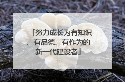 努力成长为有知识、有品德、有作为的新一代建设者