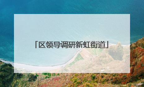 区领导调研新虹街道