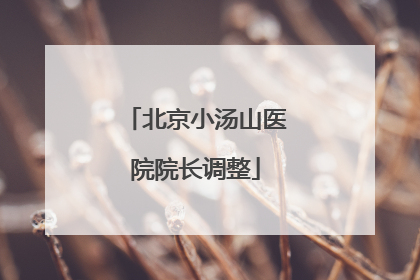 北京小汤山医院院长调整