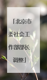 北京市委社会工作部部长调整