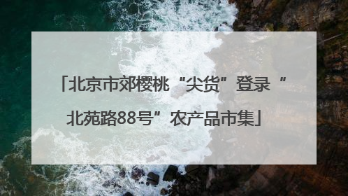 北京市郊樱桃“尖货”登录“北苑路88号”农产品市集