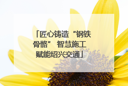 匠心铸造“钢铁骨骼” 智慧施工赋能绍兴交通
