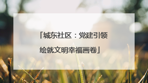 城东社区：党建引领绘就文明幸福画卷