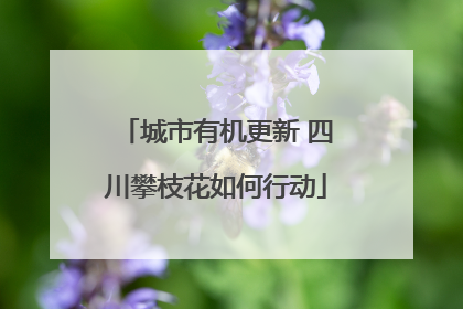 城市有机更新 四川攀枝花如何行动