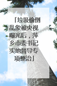 垃圾偷倒乱象被央视曝光后，萍乡市委书记实地督导专项整治