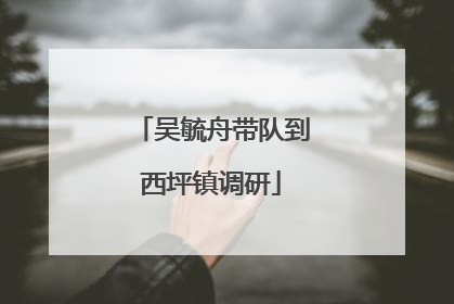 吴毓舟带队到西坪镇调研