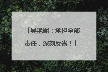 吴艳妮：承担全部责任，深刻反省！