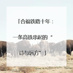 合福铁路十年：一条高铁串起的“诗与远方”