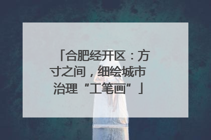 合肥经开区：方寸之间，细绘城市治理“工笔画”