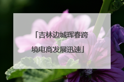 吉林边城珲春跨境电商发展迅速