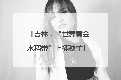 吉林：“世界黄金水稻带”上插秧忙