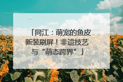 同江：萌宠的鱼皮新装刷屏！非遗技艺与“萌态跨界”