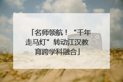 名师领航！“千年走马灯”转动江汉教育跨学科融合
