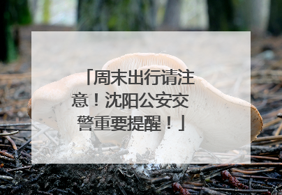 周末出行请注意！沈阳公安交警重要提醒！