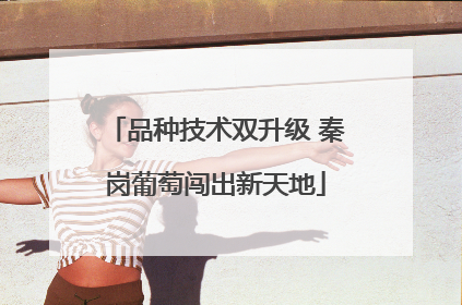 品种技术双升级 秦岗葡萄闯出新天地