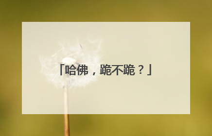 哈佛，跪不跪？