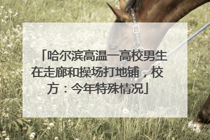 哈尔滨高温一高校男生在走廊和操场打地铺，校方：今年特殊情况