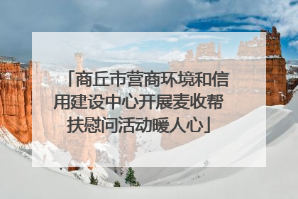 商丘市营商环境和信用建设中心开展麦收帮扶慰问活动暖人心