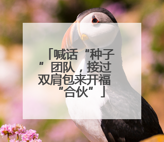 喊话“种子”团队，接过双肩包来开福“合伙”