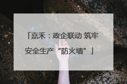 嘉禾：政企联动 筑牢安全生产“防火墙”