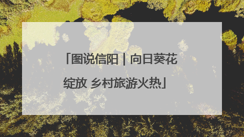 图说信阳｜向日葵花绽放 乡村旅游火热