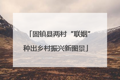 固镇县两村“联姻”种出乡村振兴新图景