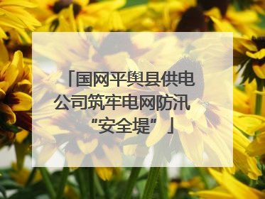 国网平舆县供电公司筑牢电网防汛“安全堤”