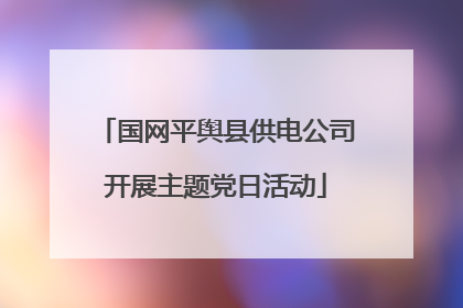 国网平舆县供电公司开展主题党日活动