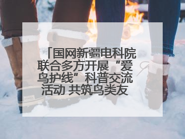 国网新疆电科院联合多方开展“爱鸟护线”科普交流活动 共筑鸟类友好城市