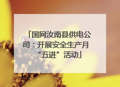 国网汝南县供电公司：开展安全生产月“五进”活动