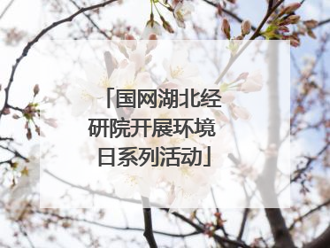 国网湖北经研院开展环境日系列活动