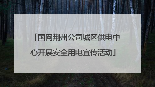 国网荆州公司城区供电中心开展安全用电宣传活动