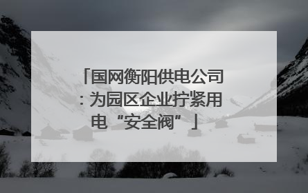 国网衡阳供电公司：为园区企业拧紧用电“安全阀”