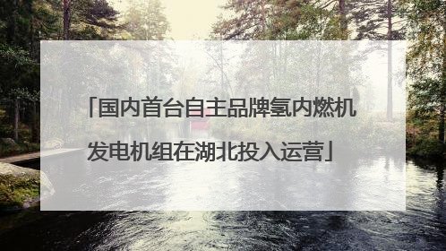 国内首台自主品牌氢内燃机发电机组在湖北投入运营