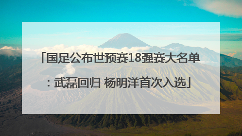 国足公布世预赛18强赛大名单：武磊回归 杨明洋首次入选