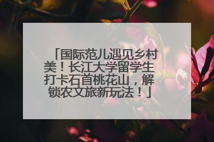 国际范儿遇见乡村美！长江大学留学生打卡石首桃花山，解锁农文旅新玩法！