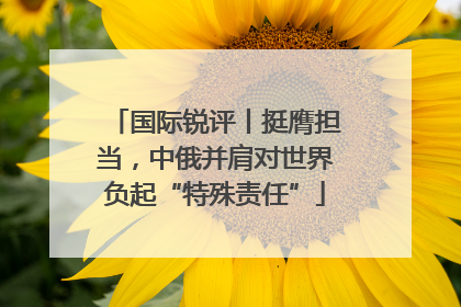 国际锐评丨挺膺担当，中俄并肩对世界负起“特殊责任”