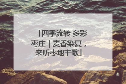 四季流转 多彩枣庄｜麦香染夏，来听枣地丰歌