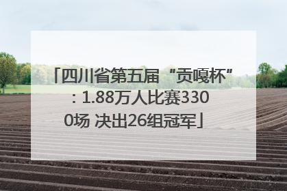 四川省第五届“贡嘎杯”：1.88万人比赛3300场 决出26组冠军