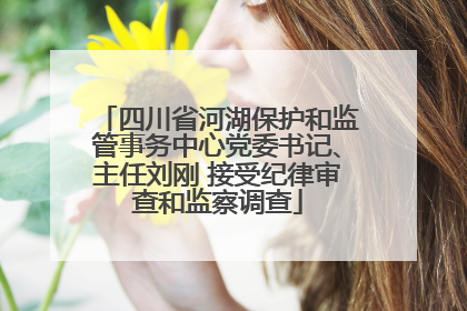 四川省河湖保护和监管事务中心党委书记、主任刘刚 接受纪律审查和监察调查