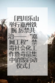 四川乐山举行嘉州铁腕 厉禁共治——“嘉网工程”禁毒社会化工作暨毒品集中销毁启动仪式