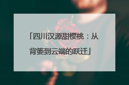 四川汉源甜樱桃：从背篓到云端的跃迁
