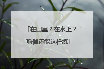 在田里？在水上？瑜伽还能这样练