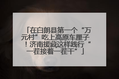 在白朗县第一个“万元村”吃上高原车厘子！济南援藏这样践行“一茬接着一茬干”