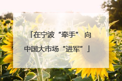 在宁波“牵手” 向中国大市场“进军”