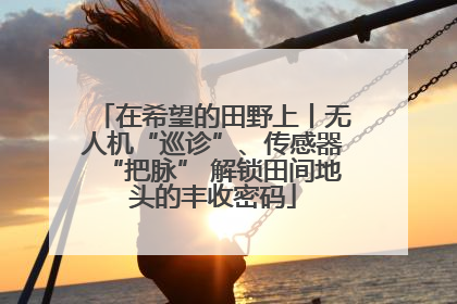 在希望的田野上丨无人机“巡诊”、传感器“把脉” 解锁田间地头的丰收密码