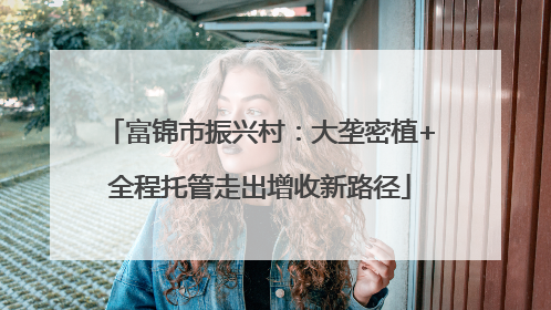富锦市振兴村：大垄密植+全程托管走出增收新路径