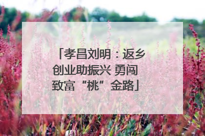 孝昌刘明：返乡创业助振兴 勇闯致富“桃”金路