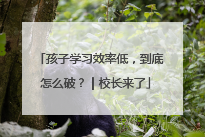 孩子学习效率低，到底怎么破？｜校长来了