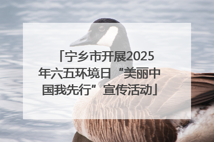 宁乡市开展2025年六五环境日“美丽中国我先行”宣传活动